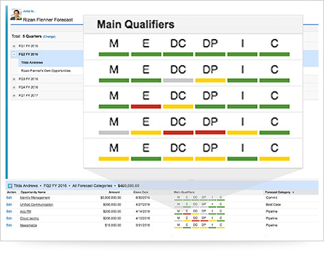 MEDDIC on Salesforce Screenshot 2