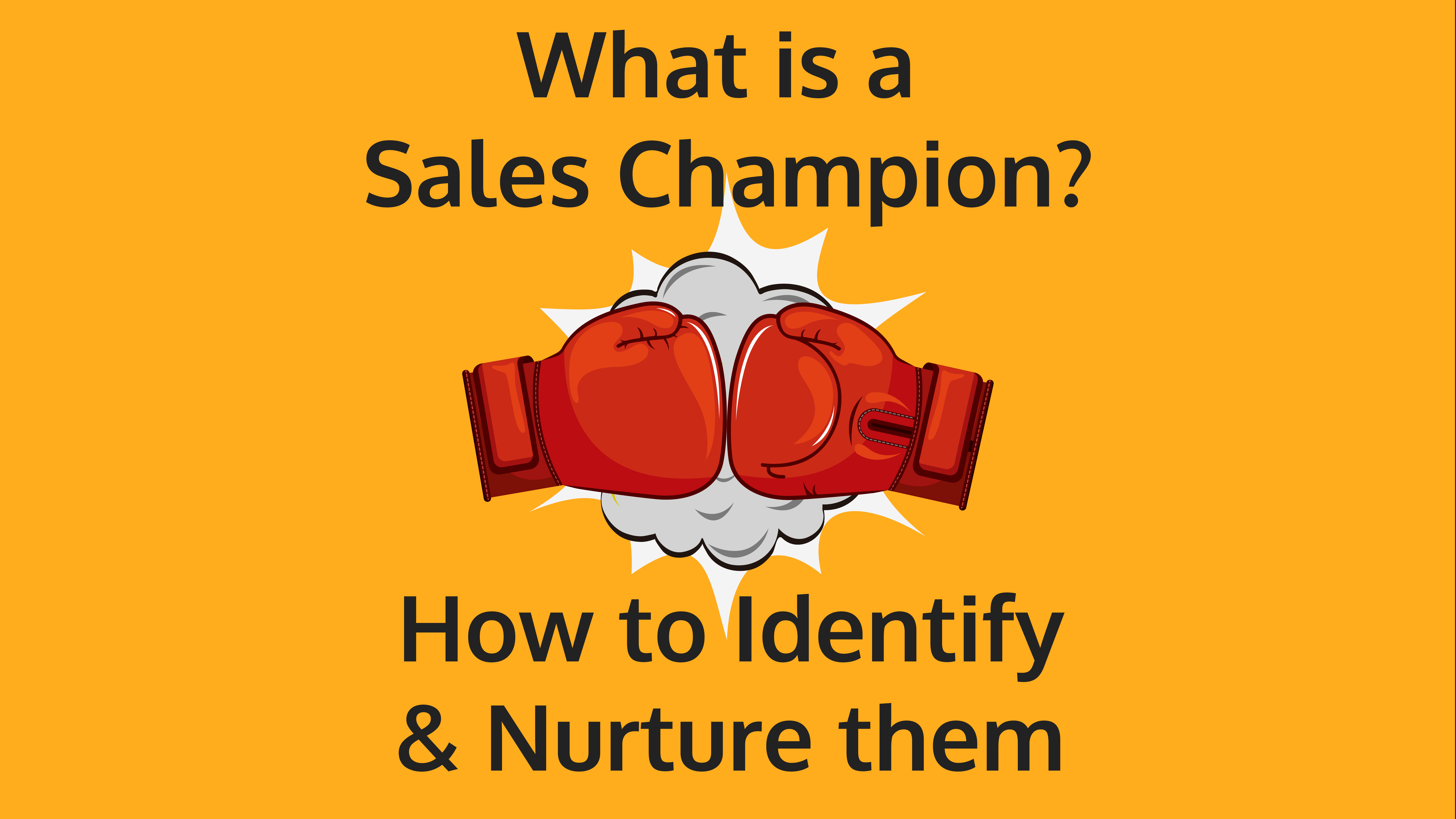 what-is-a-sales-champion