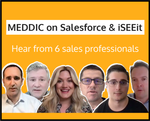 meddic-on-salesforce-iseeit